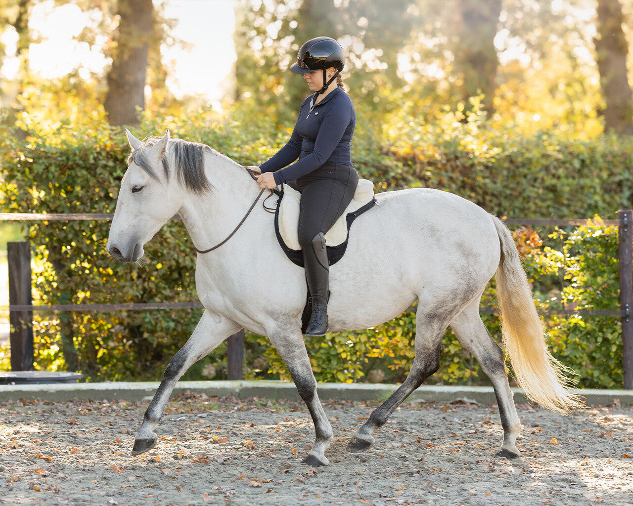 Mastering Equine Tranquility: Expert Tips on How to Get a Horse to Relax Undersaddle