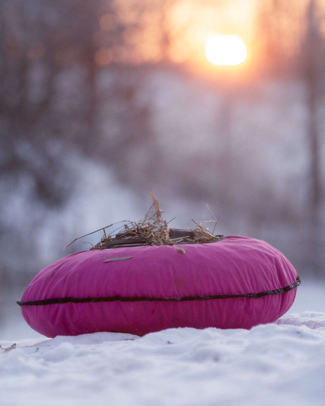 Should You Use Hay Bags or Feed Hay From the Ground? Why Hay Pillows are a Great Option.