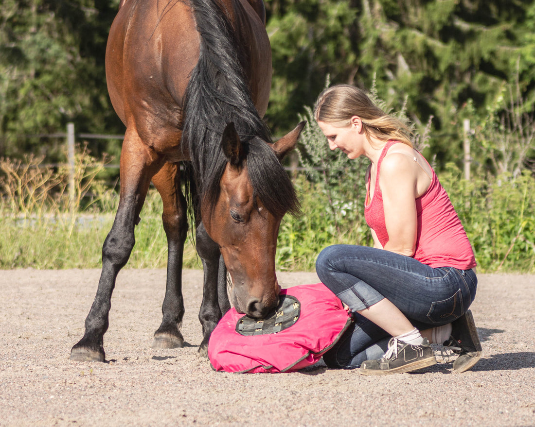 How to Bond with a Horse: Our 3 Tips
