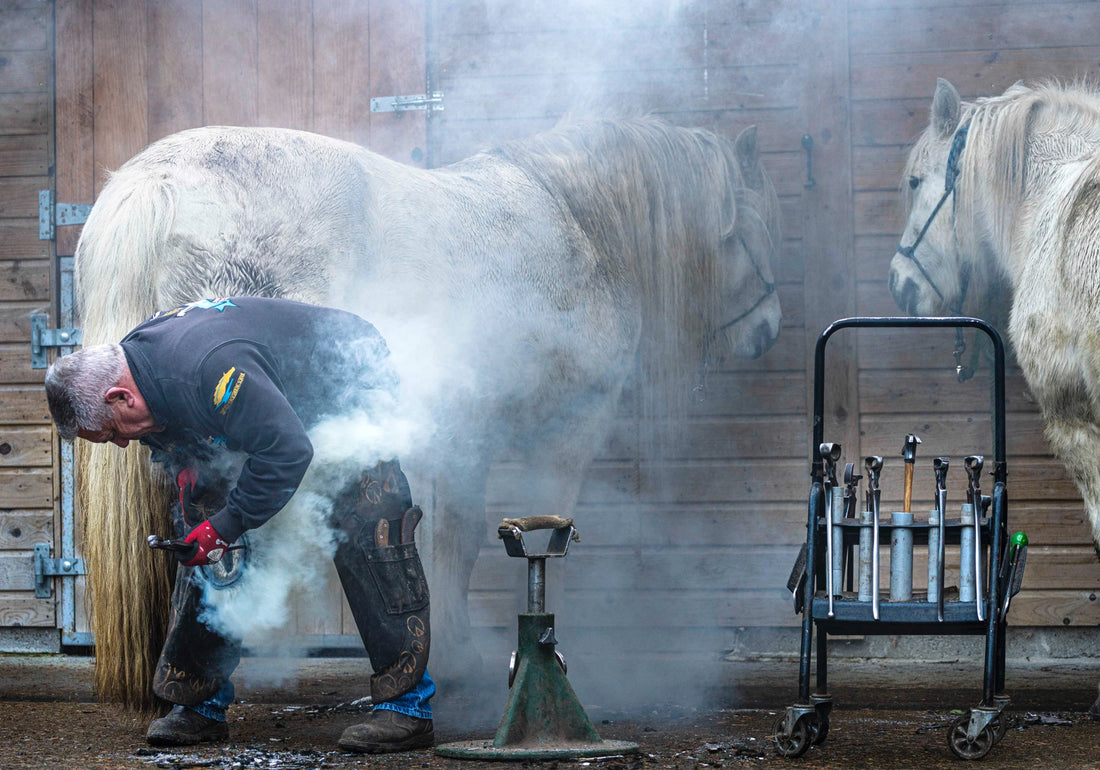 How to Train a Horse to Stand for the Farrier With Stress-Free Training and Muzzle Butter!