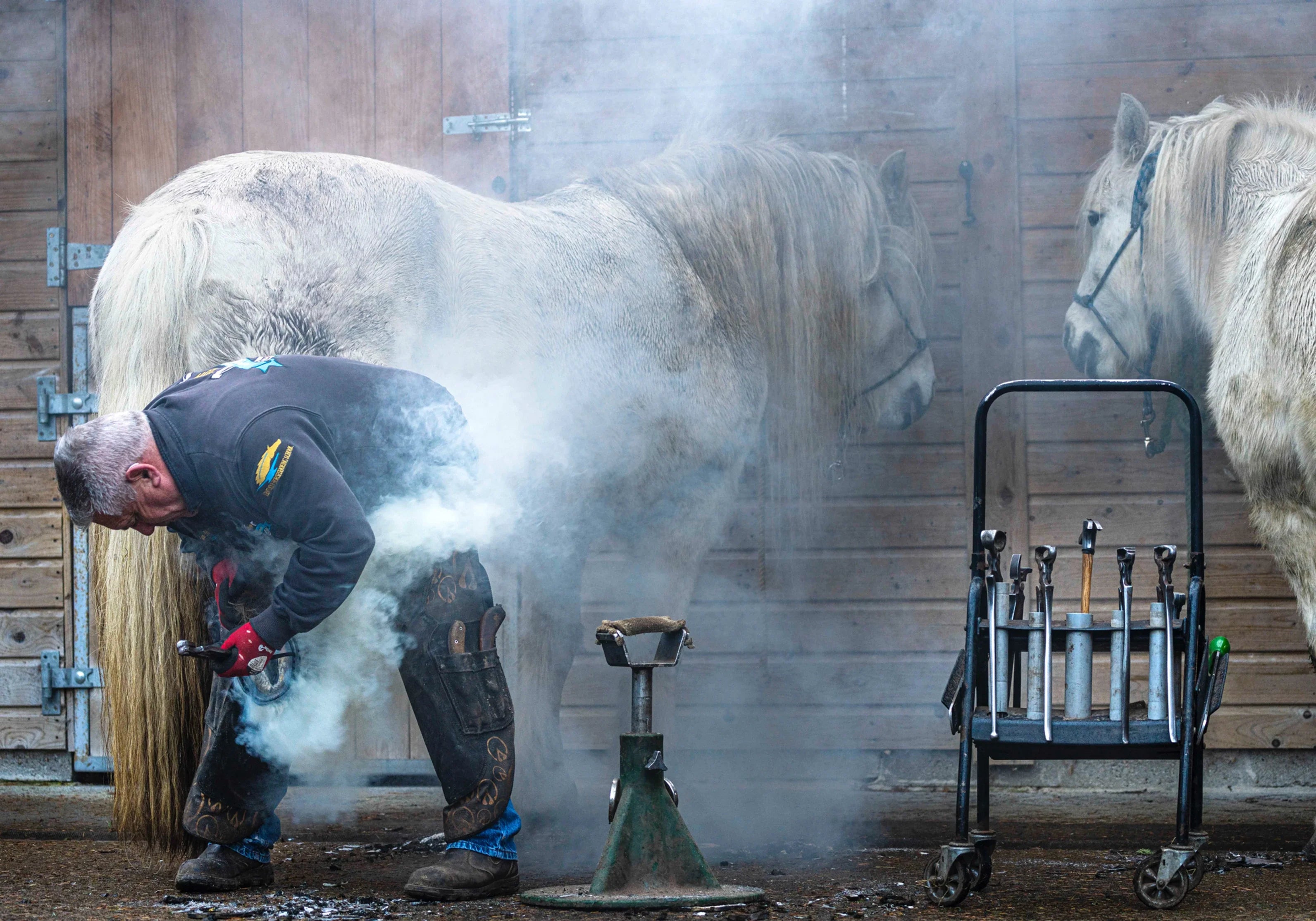 How to Train a Horse to Stand for the Farrier With Stress-Free Training and Muzzle Butter!