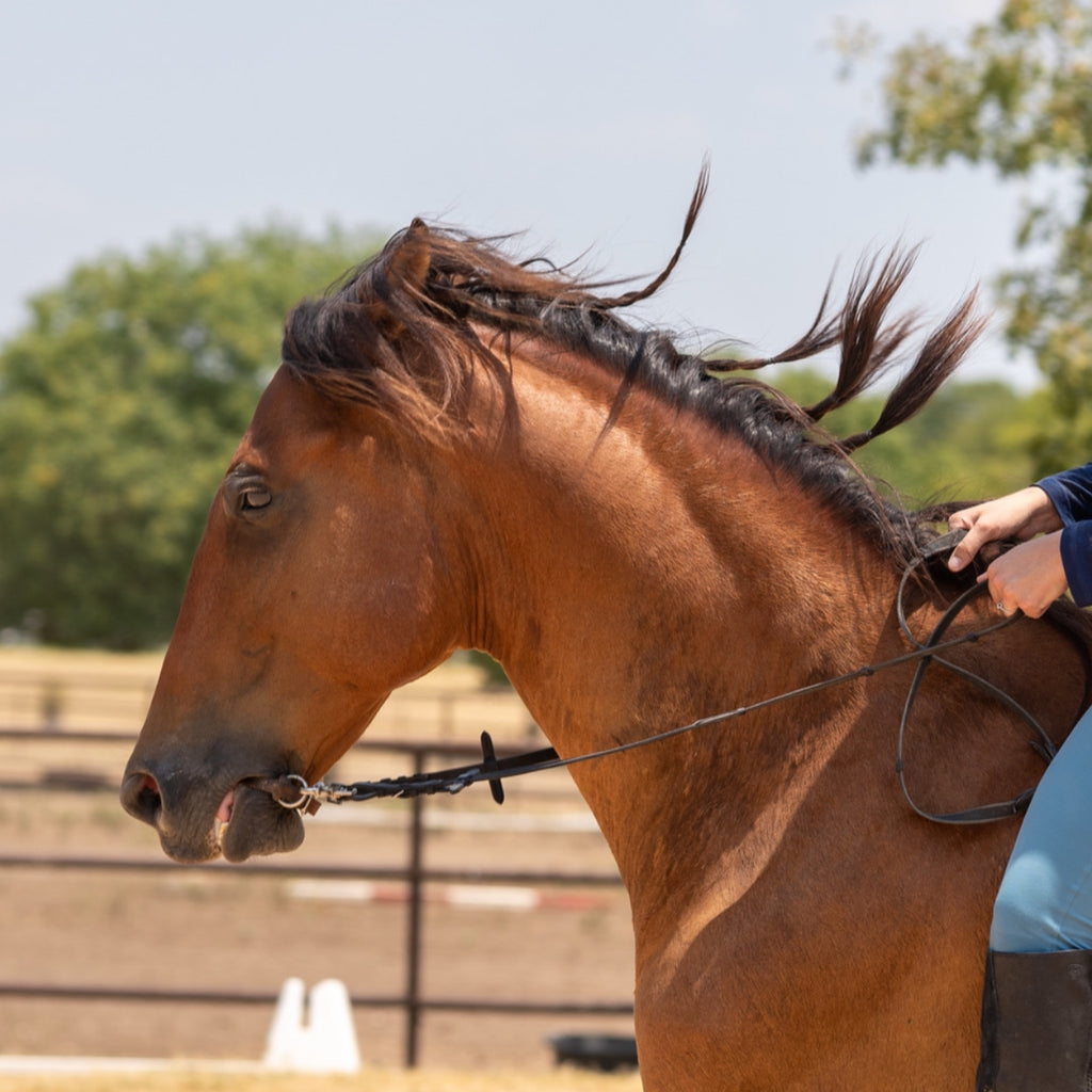 Bridleless Bit by Sweet Billy's Bits image 0