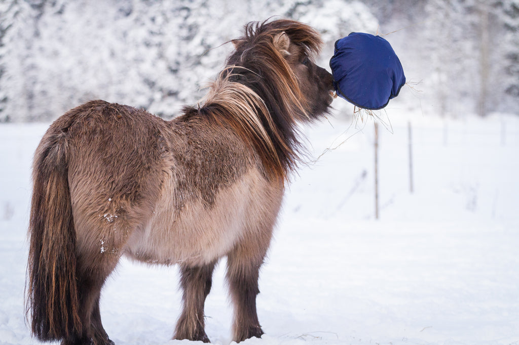 Mini Heica Fluffy Hay Feeder image 4