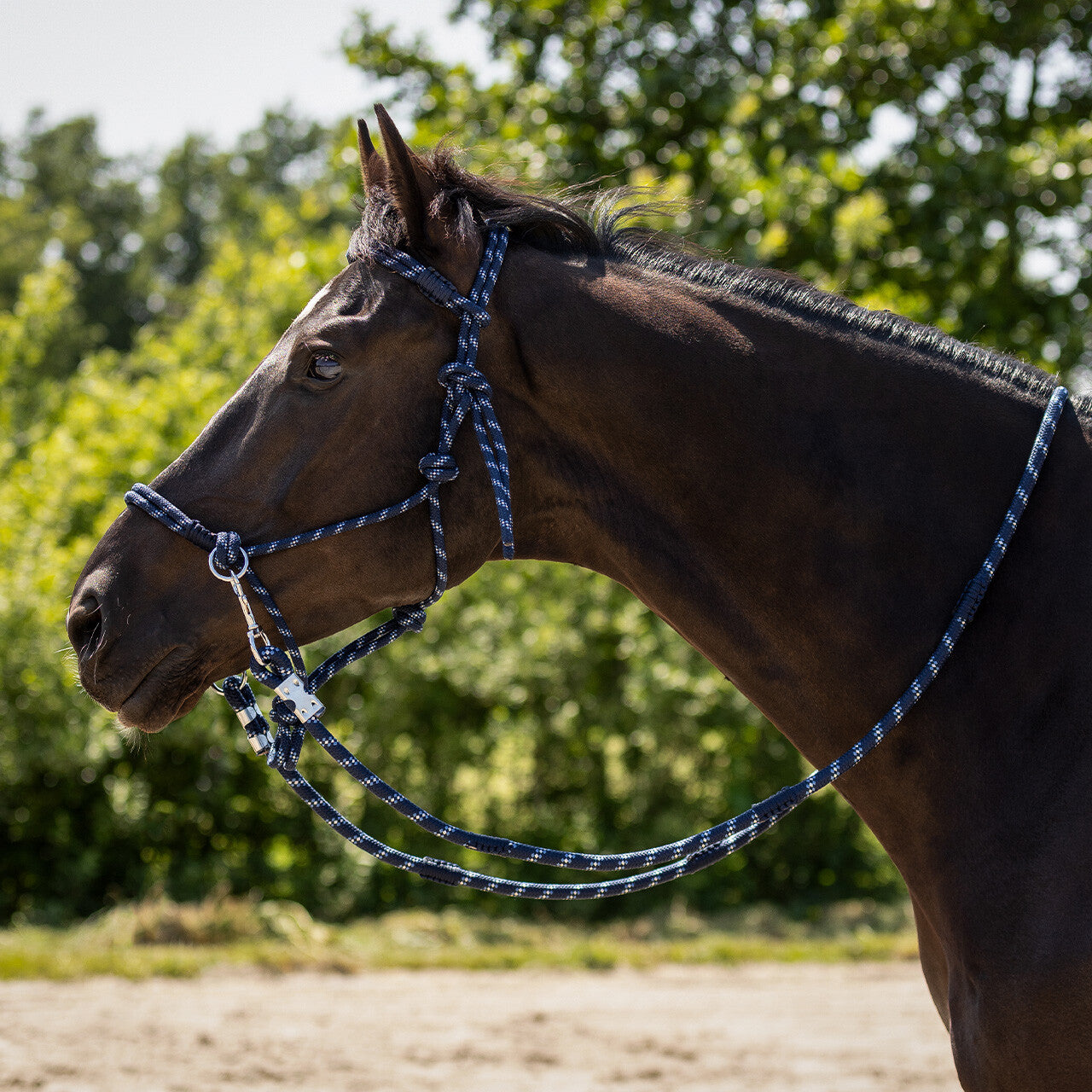 Aubree Rope Halter/Bitless Bridle Combo