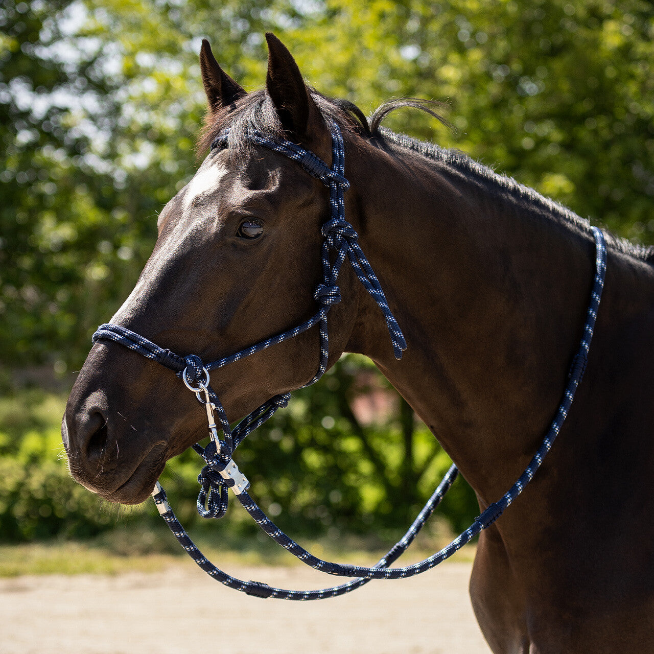 Aubree Rope Halter/Bitless Bridle Combo