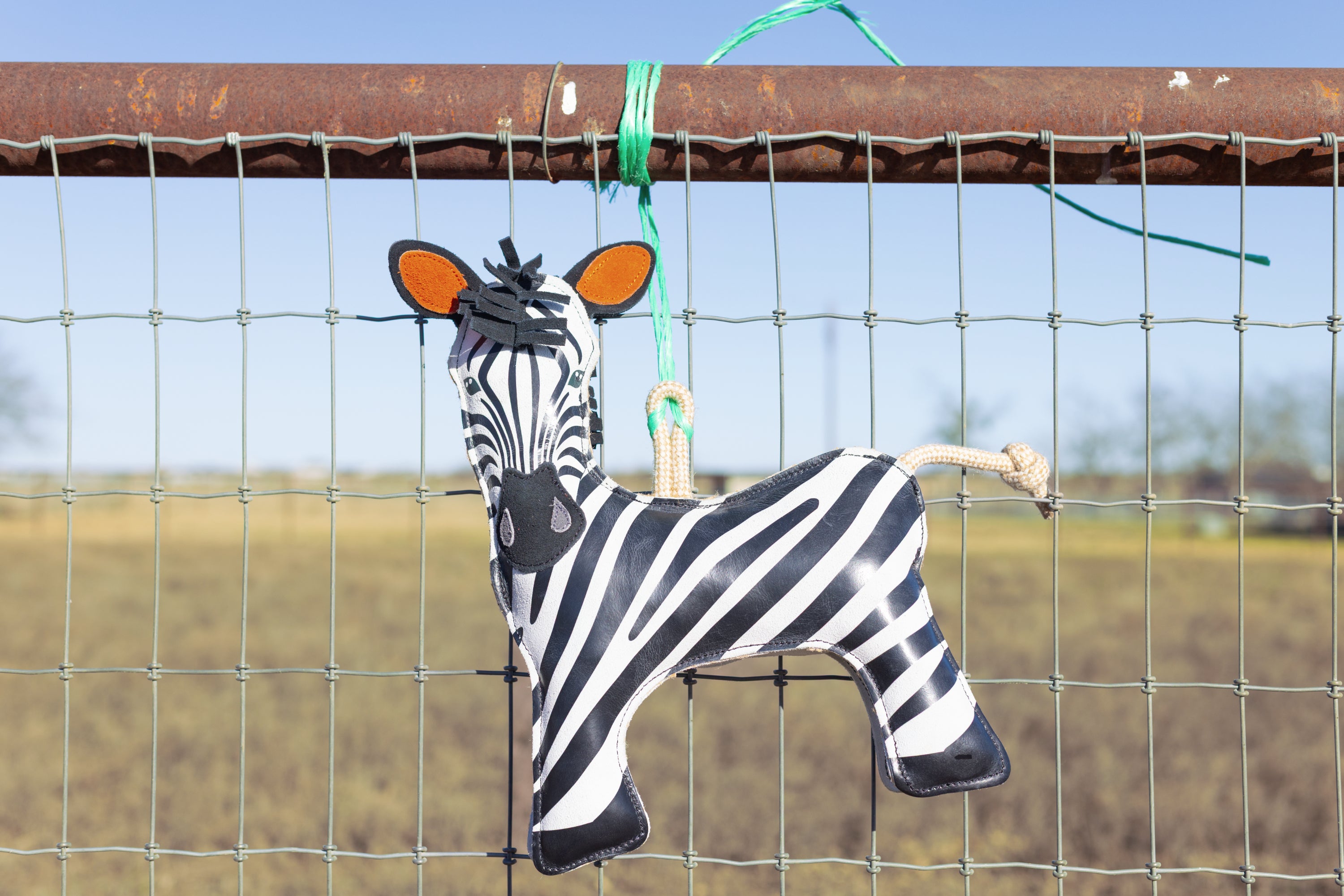 Zany Zebra Horse Toy🦓