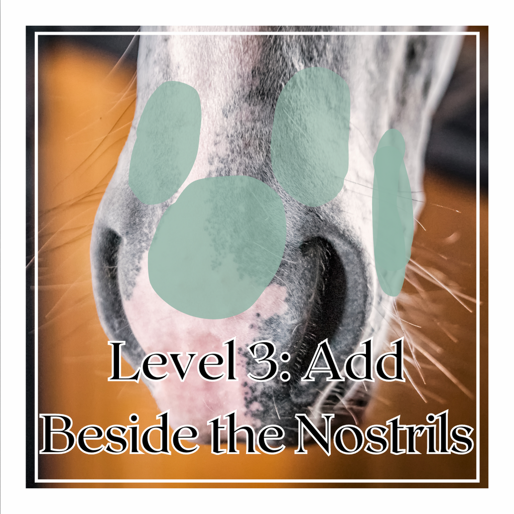 Muzzle Butter: At-Ease Variety Bundle image 7