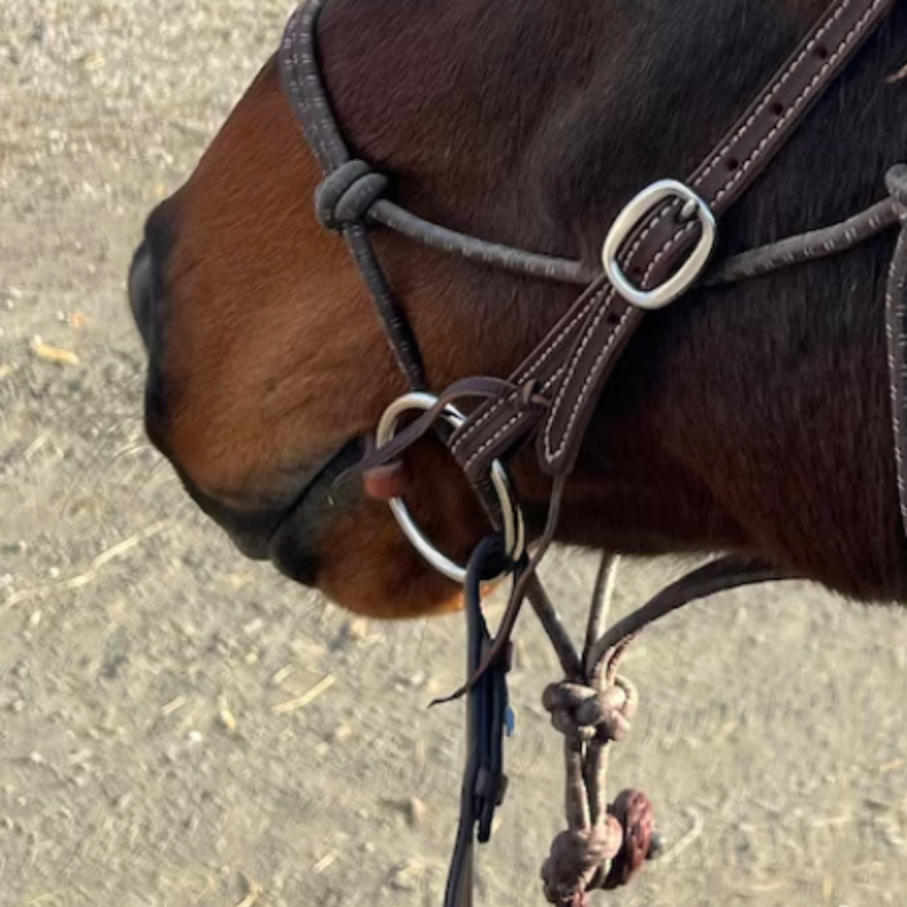Leather O-Ring Snaffle Bit