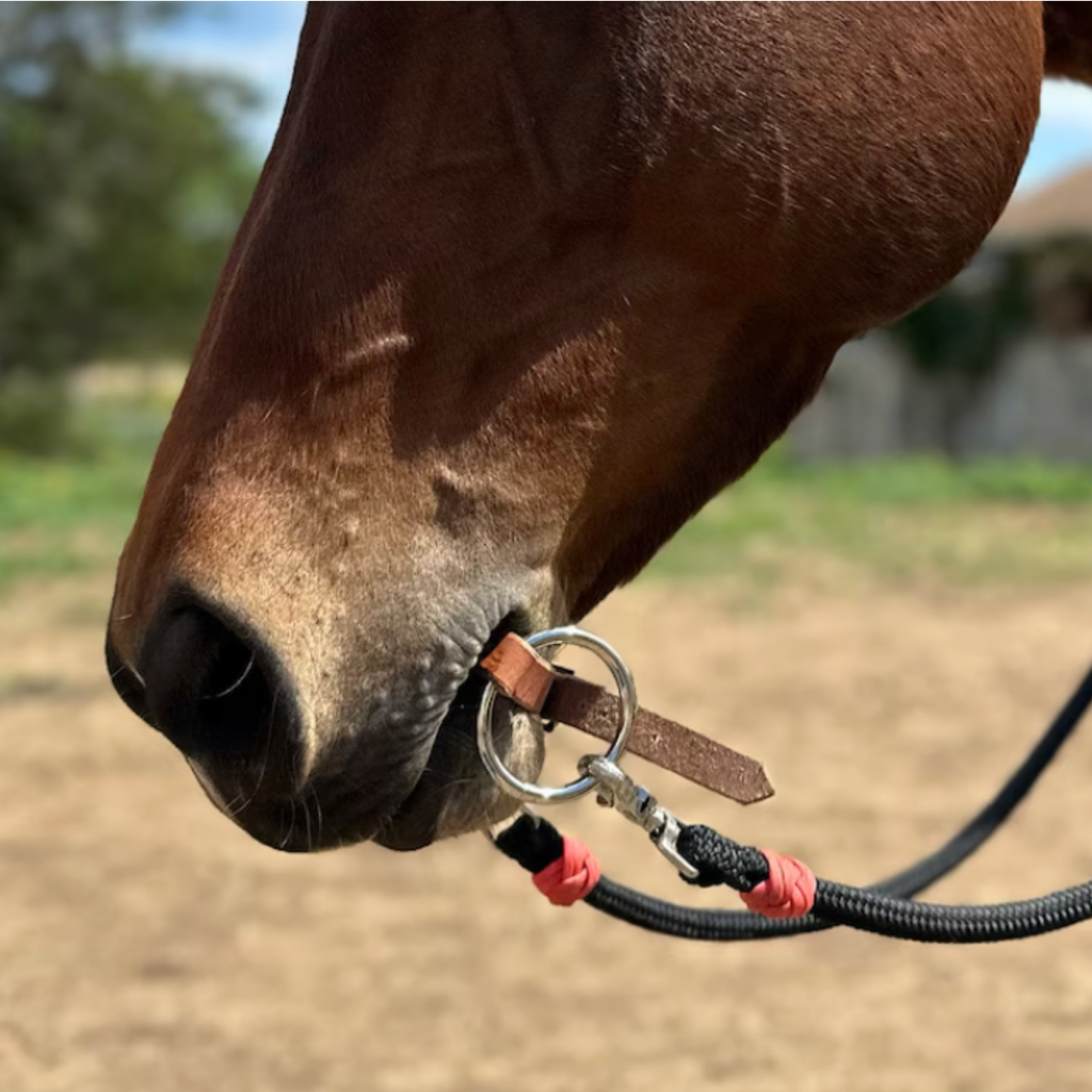Bridleless Bit (o-ring snaffle)