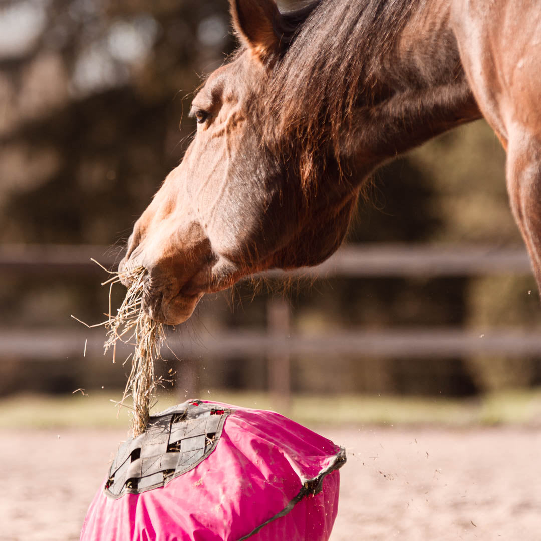 Heica Fluffy Hay Feeder (1.5 inch) image 2