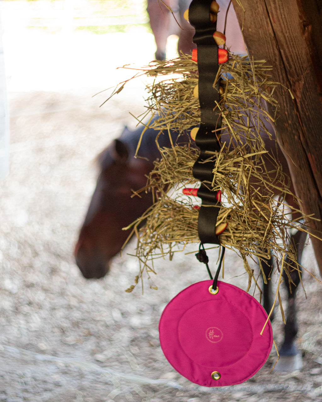 Heica HeiSwing Frisbee for Horses image 1