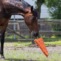 QHP Happy Carrot Horse Toy XL 🥕 image 0