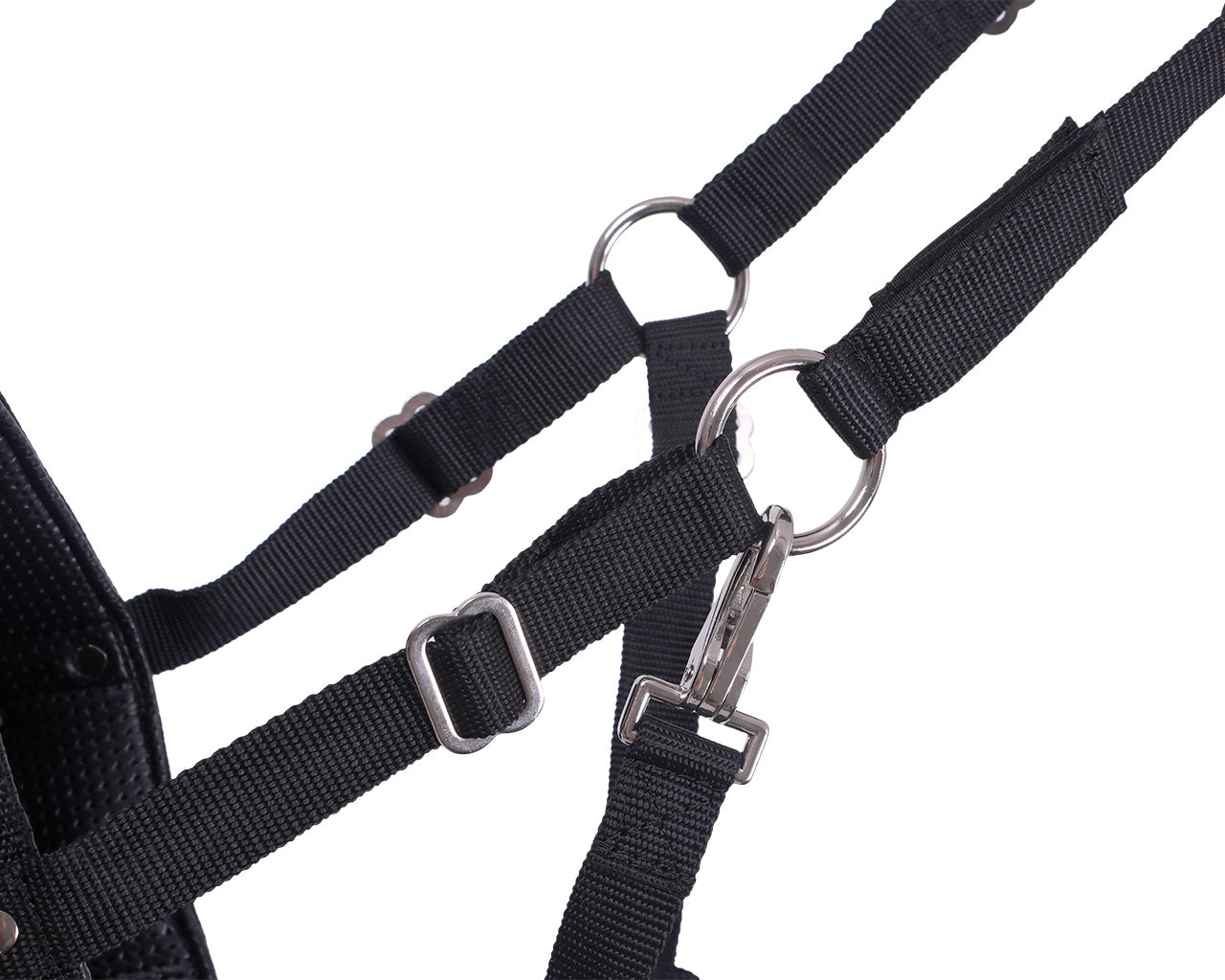 QHP Anatomical Grazing Muzzle - Grazemuzzle image 2