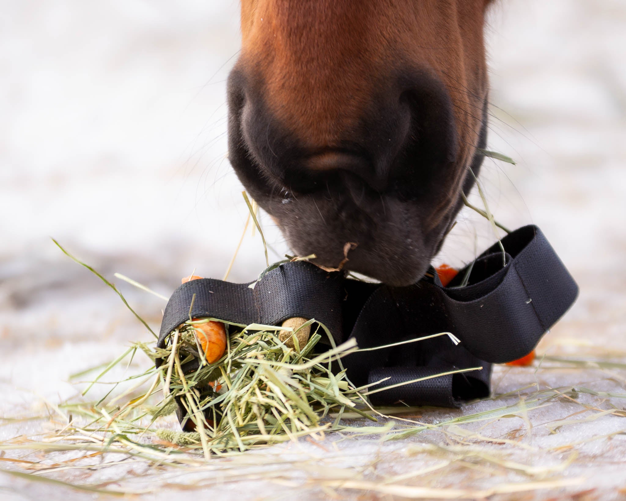 Heica Tuck ‘N’ Treat Stuffer Toy for Horses image 5