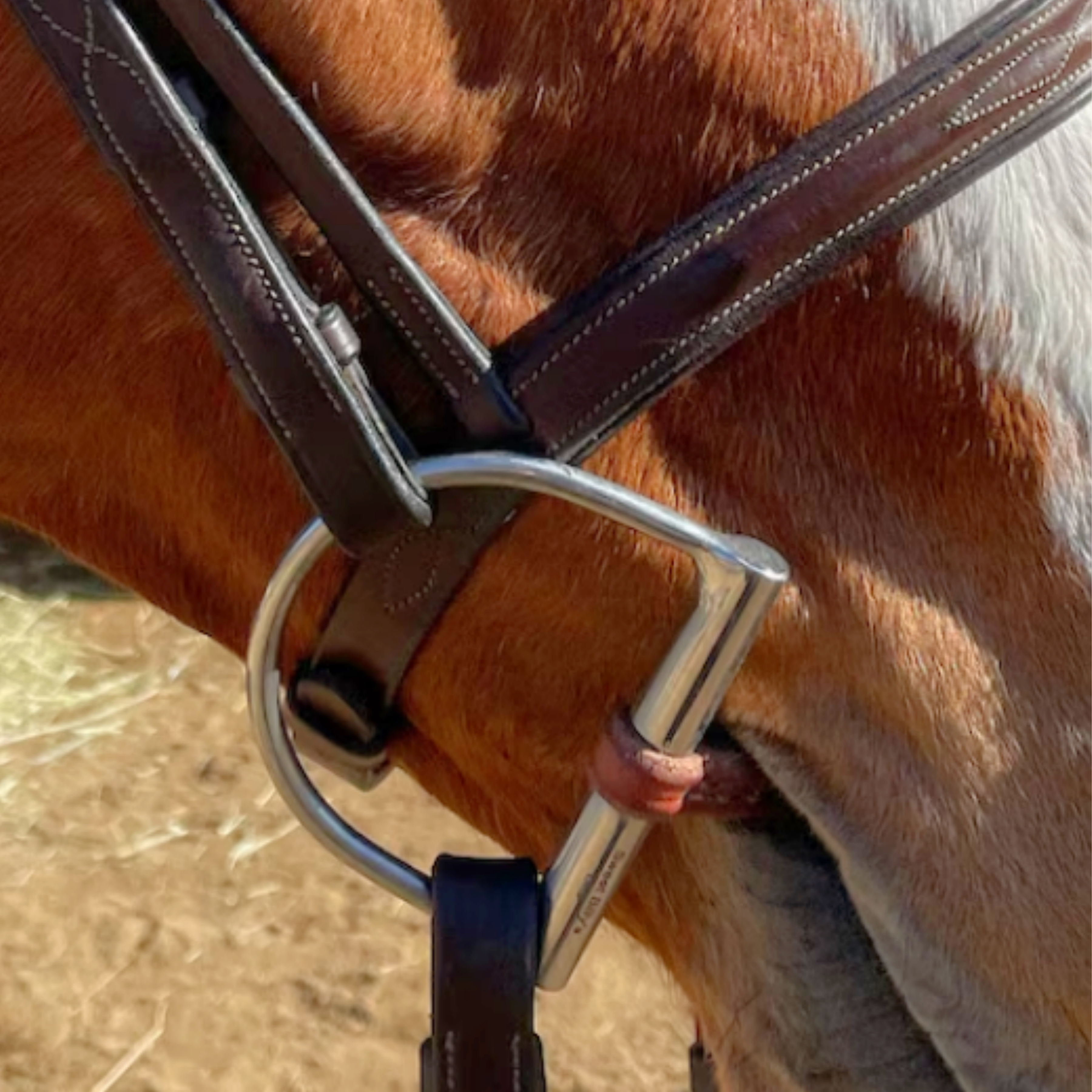 Leather Dee-Ring Snaffle Bit