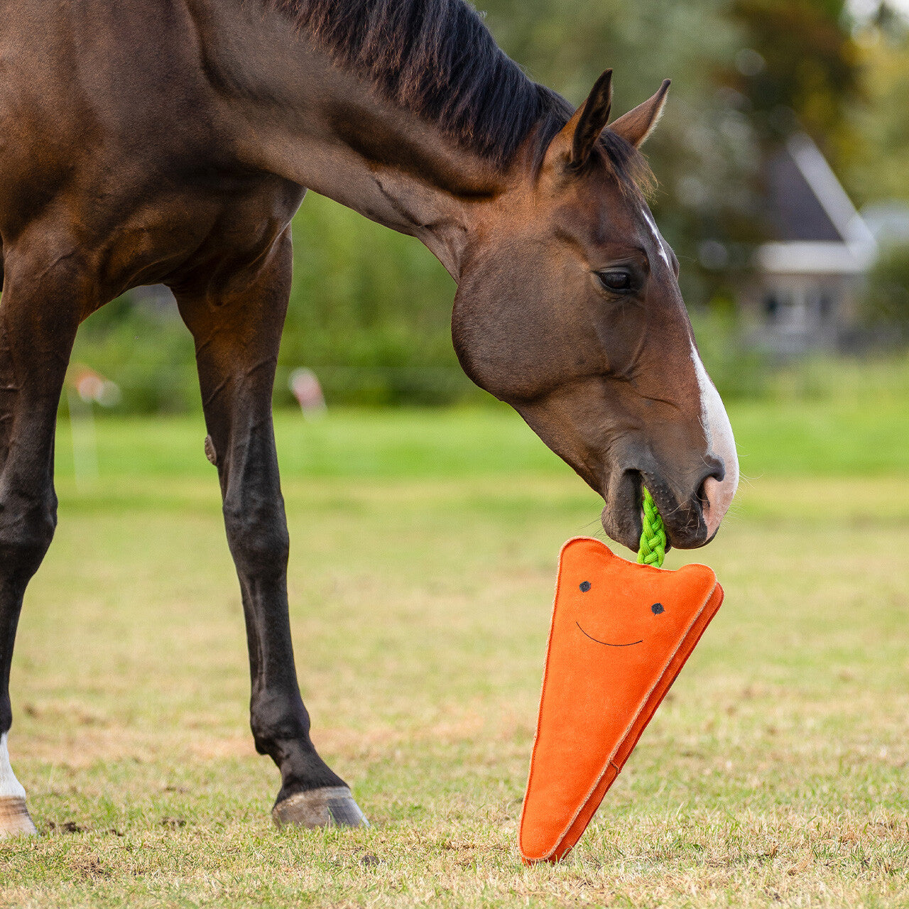 Horse playing with an orange carrot-shaped horse toy on a grassy field