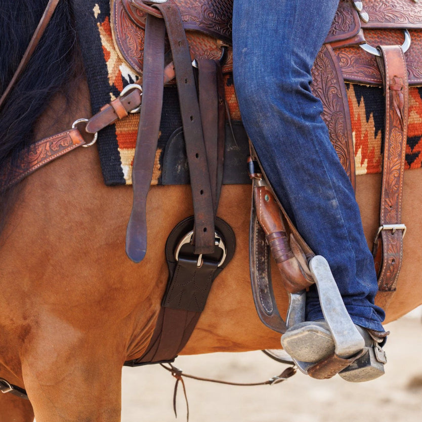 Tapestry Comfort Cinch image 2