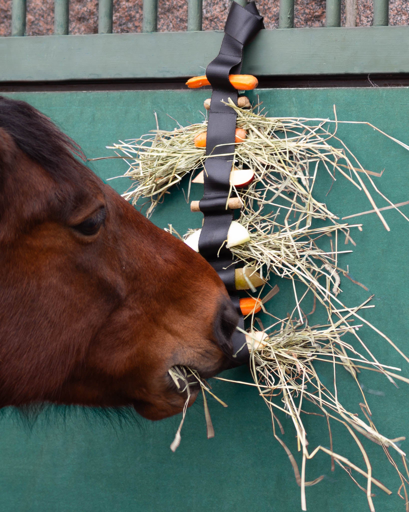 Horse eating hay and treats from hanging treat swnger Heica Tuck'N'Treat