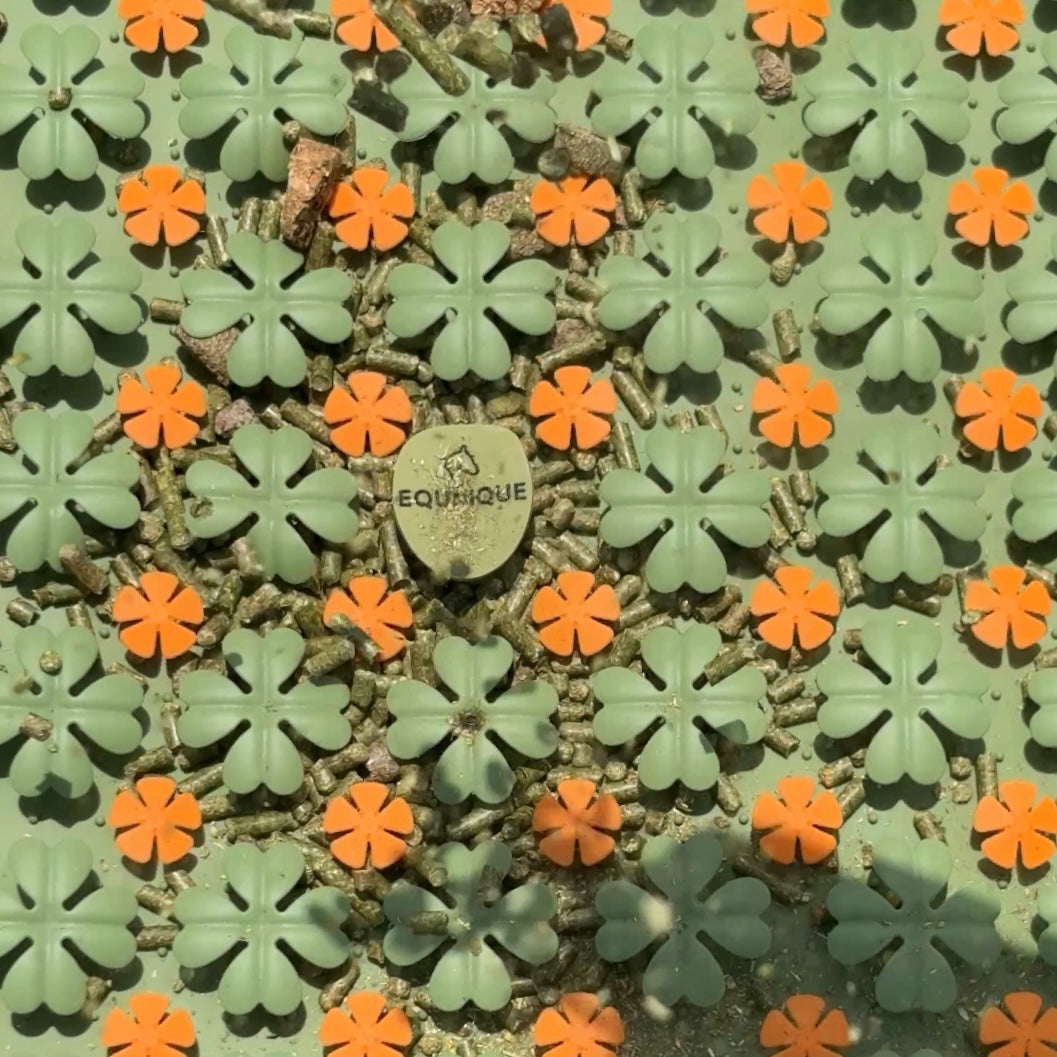 Equnique Enrichment Clover Treat Mat for Horses 🍀 image 5