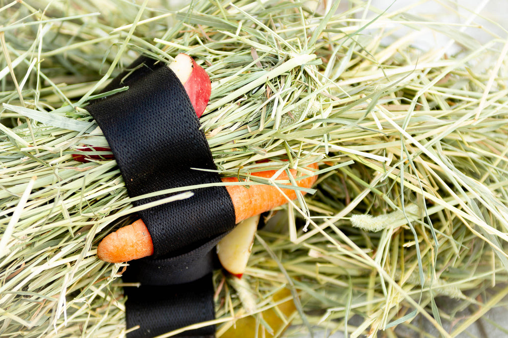 Heica Tuck ‘N’ Treat Stuffer Toy for Horses image 2