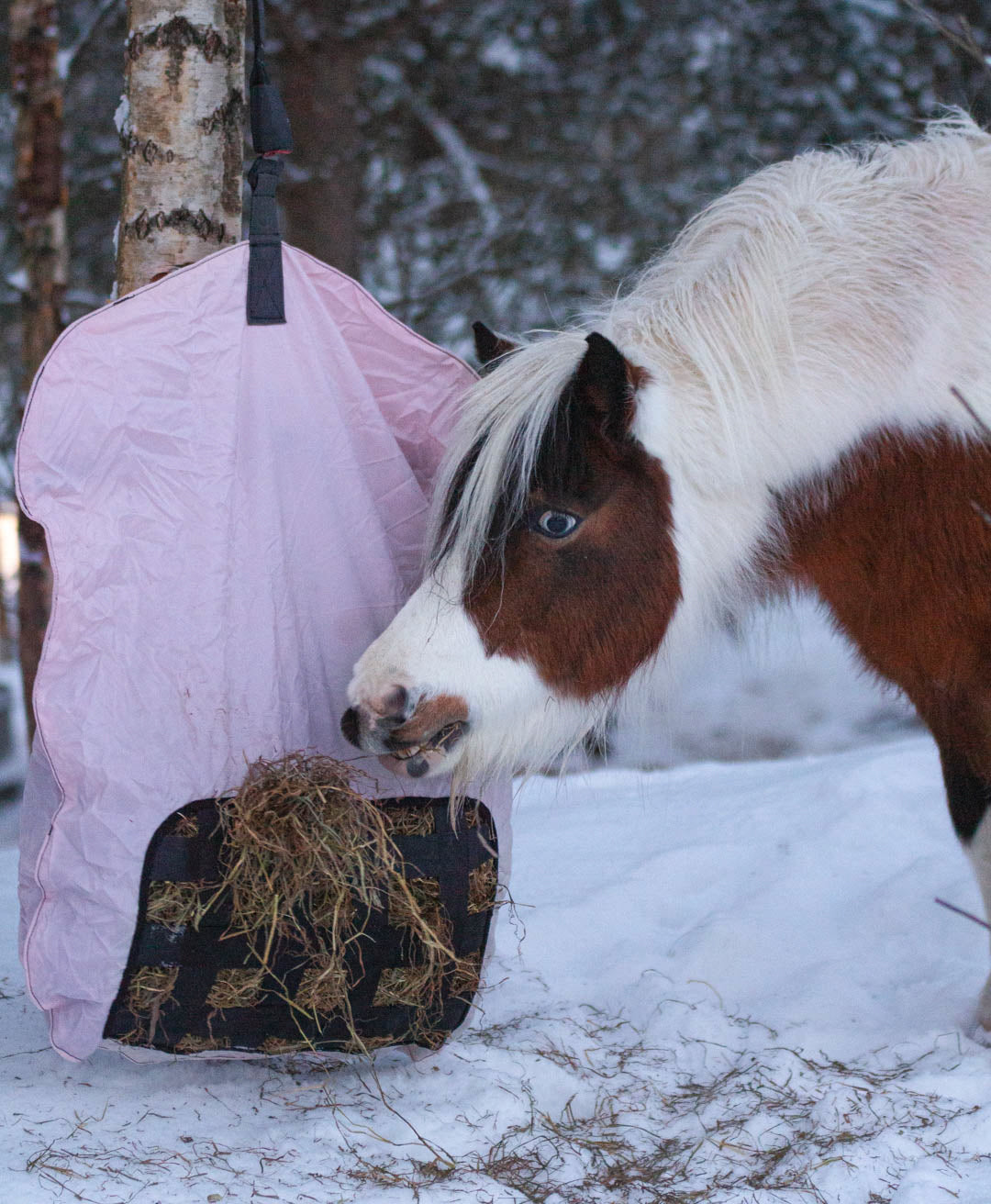 Heica Saggy Hay Net - Hanging Hay Slow Feeder image 8