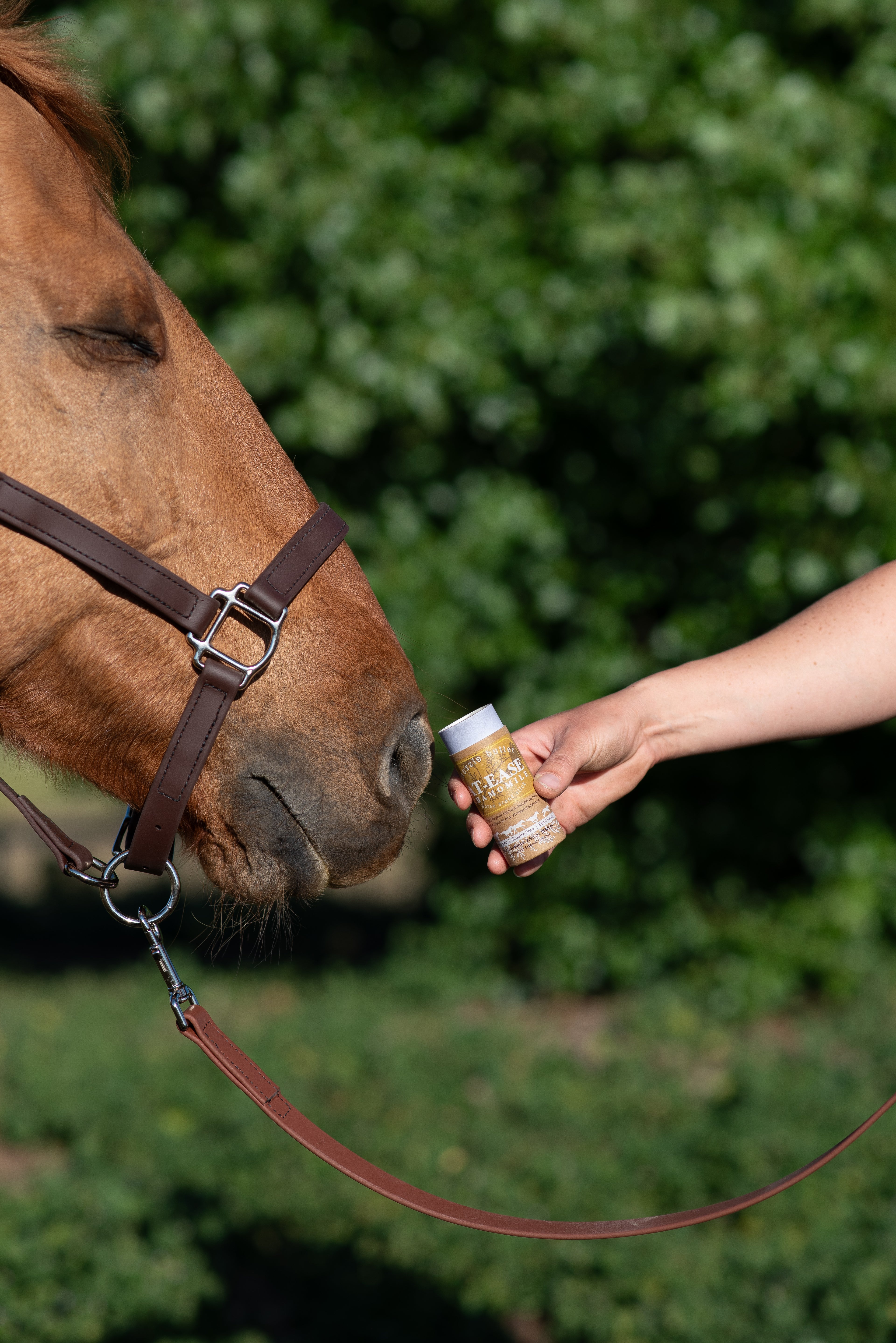 Muzzle Butter: At-Ease Variety Bundle