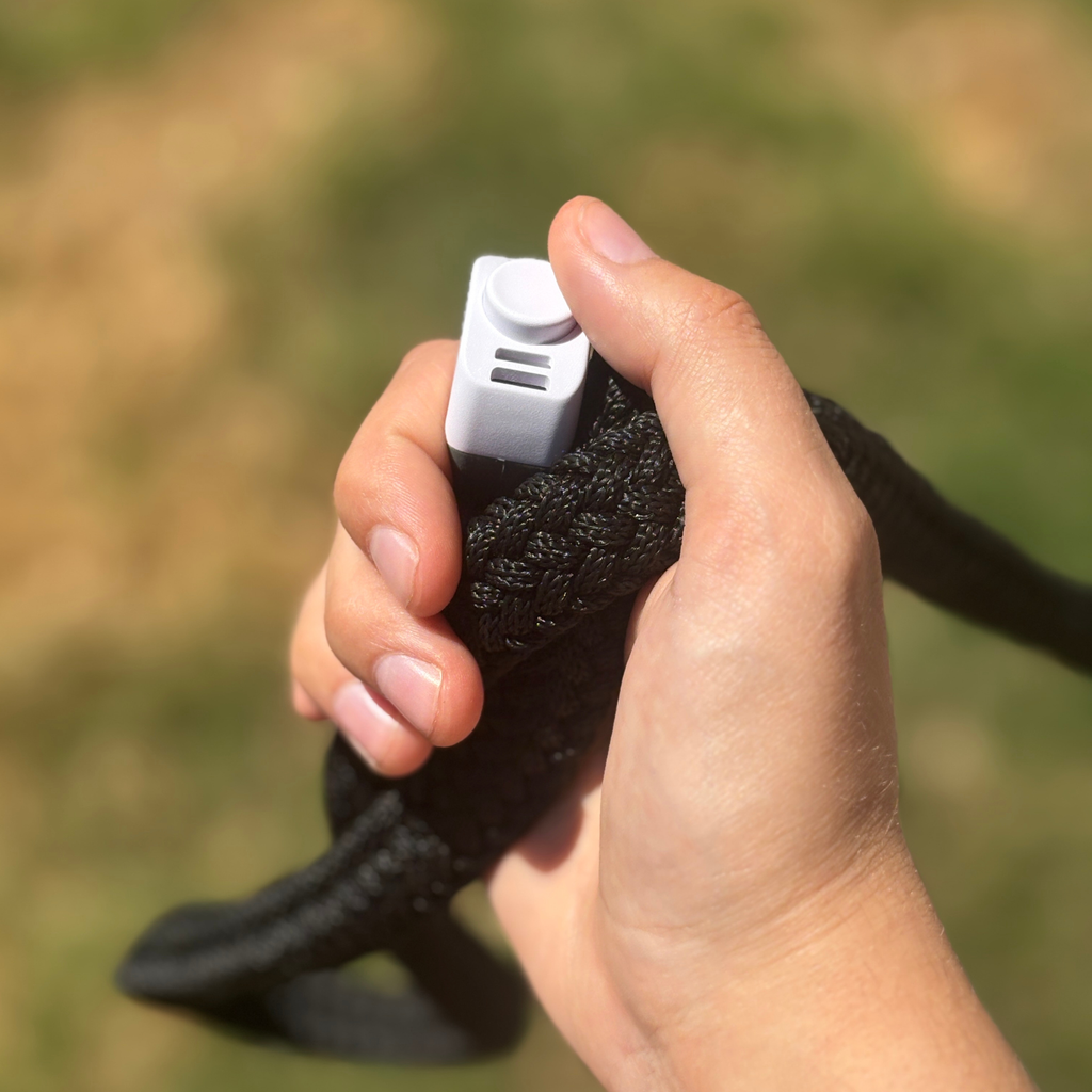 Positive Reinforcement Clicker Ring