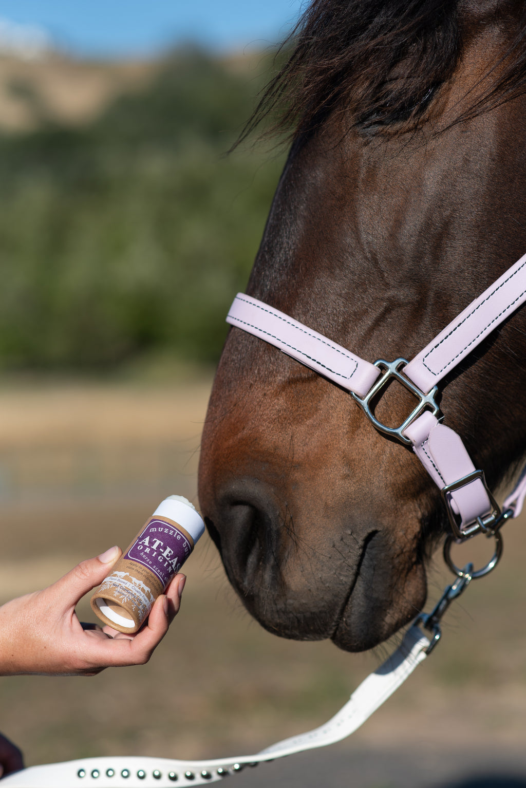 Muzzle Butter: At-Ease Variety Bundle