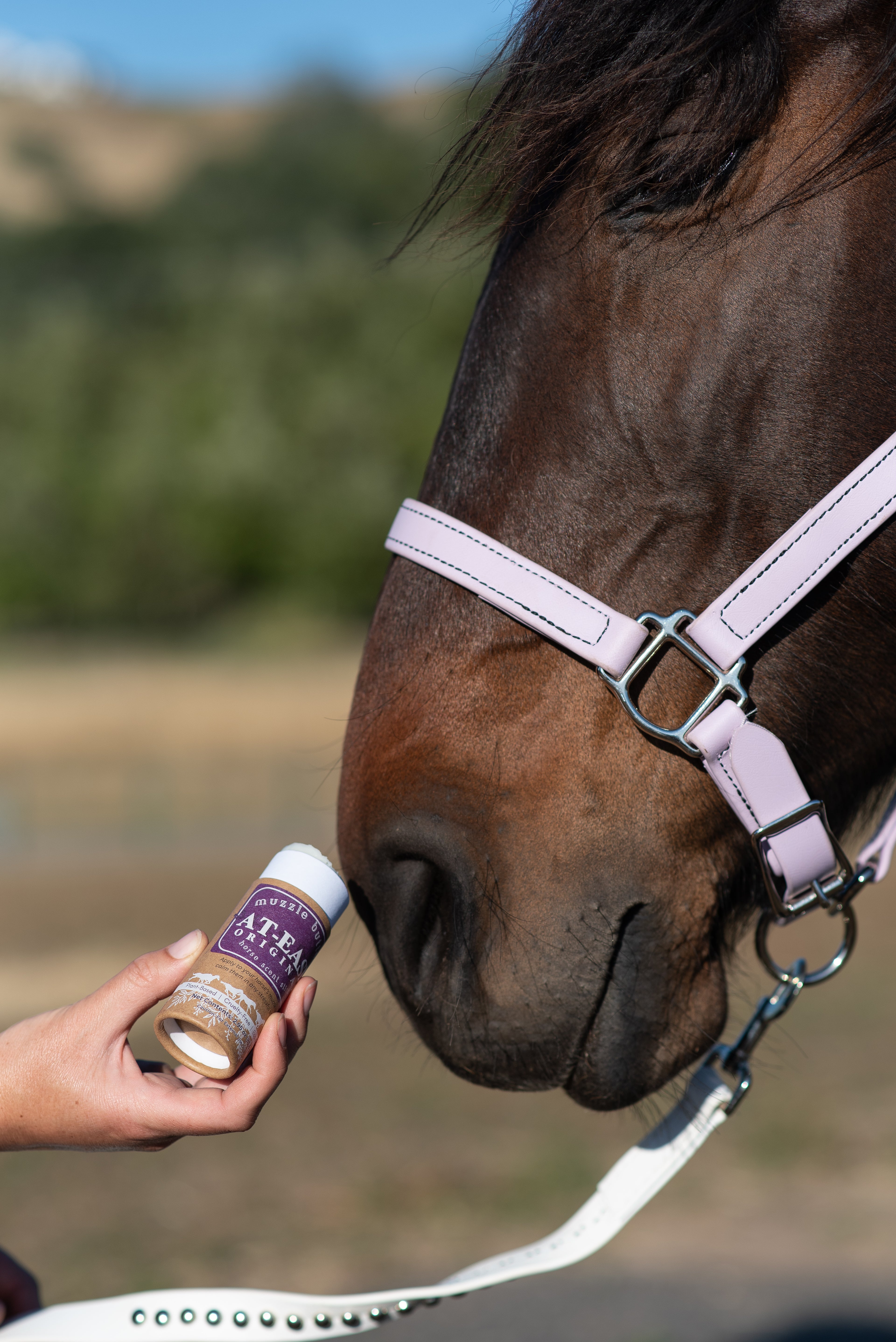 Muzzle Butter: At-Ease Variety Bundle