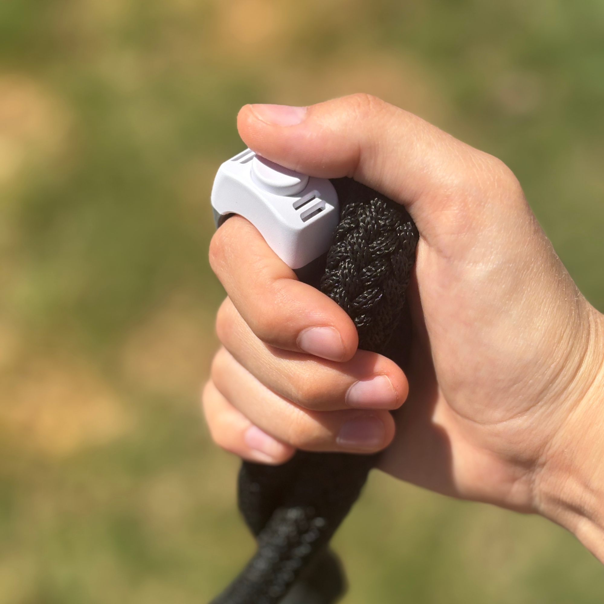 Positive Reinforcement Clicker Ring
