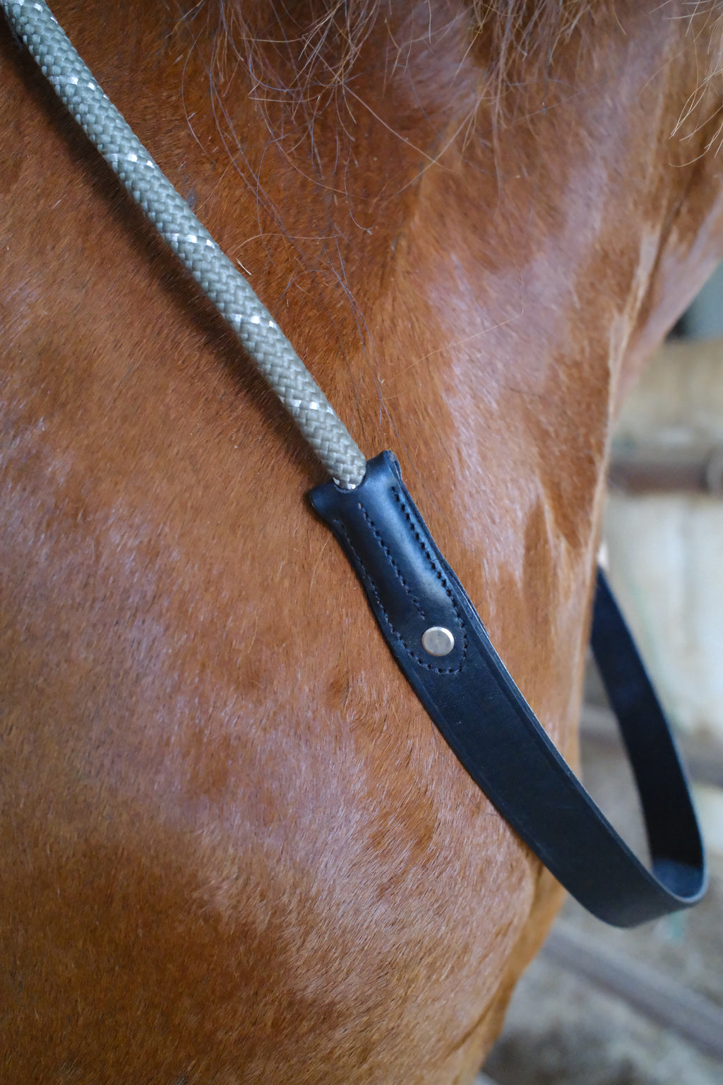 QHP Bridleless Neck Rope for Horses image 3
