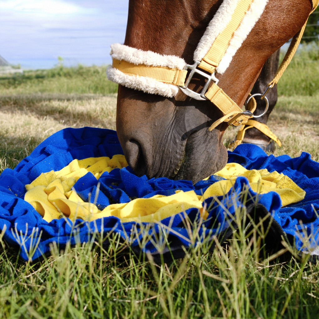 QHP Horse Snuffle Mat image 4