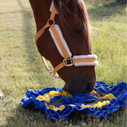 QHP Horse Snuffle Mat image 0