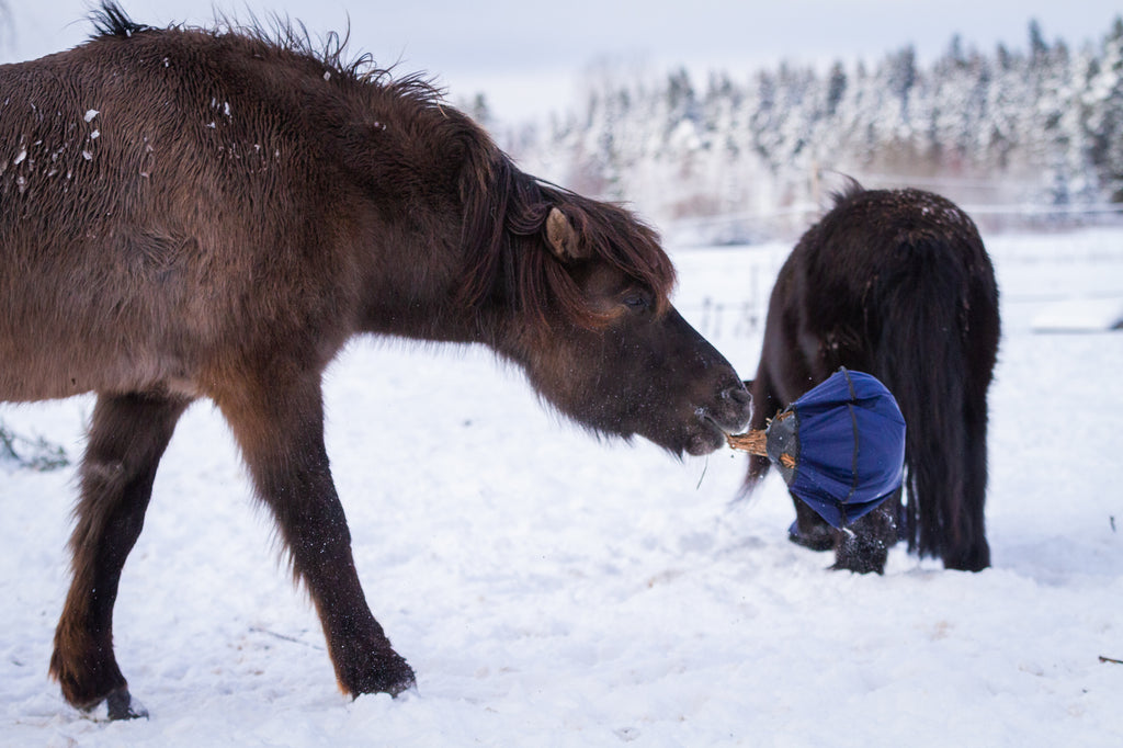 Mini Heica Fluffy Hay Feeder image 2
