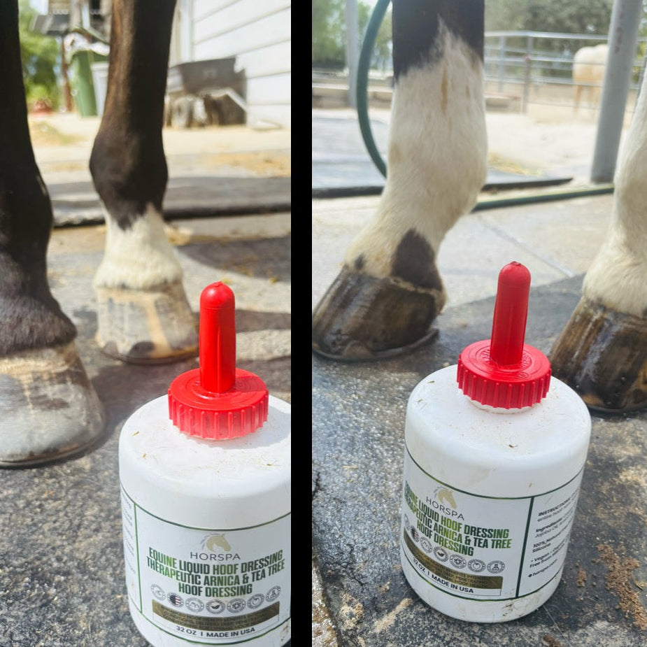 Equine Liquid Hoof Dressing Arnica & Tea Tree