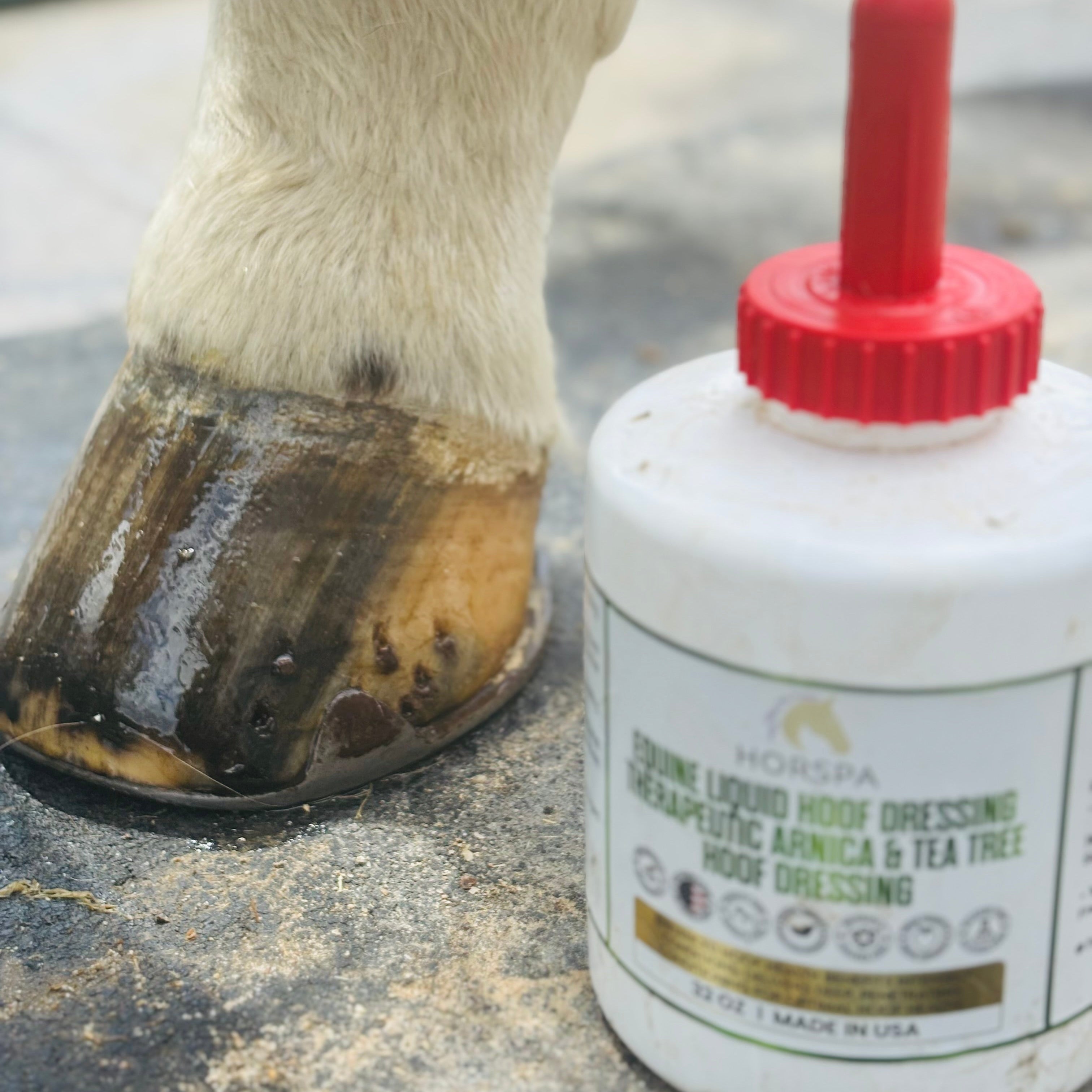 Equine Liquid Hoof Dressing Arnica & Tea Tree