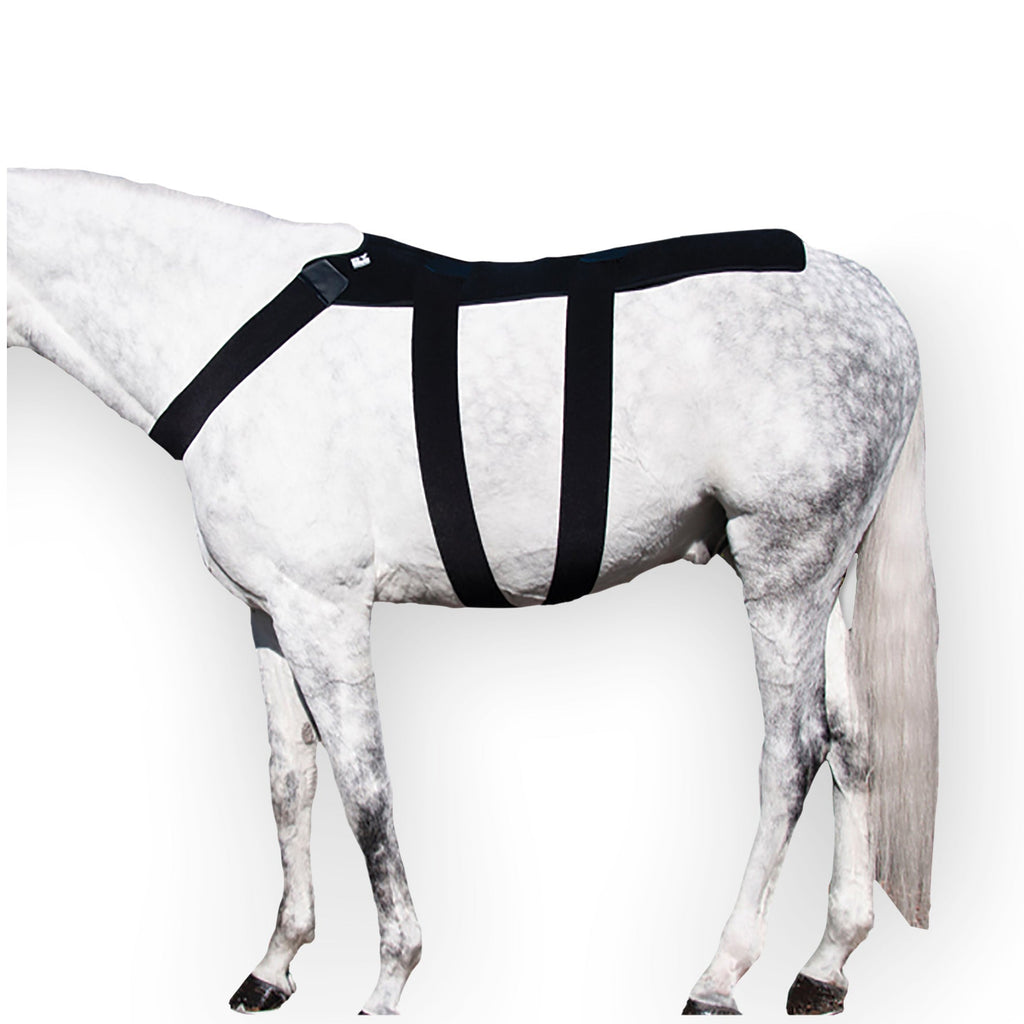 Back Blanket