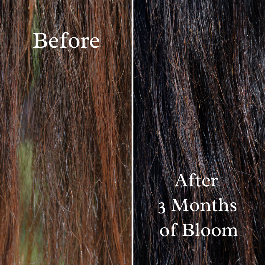 Bloom: a Luxury Mane & Tail Treatment for Length and Fullness