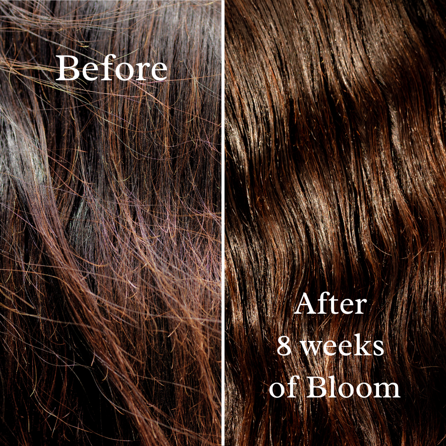 Bloom: a Luxury Mane & Tail Treatment for Length and Fullness