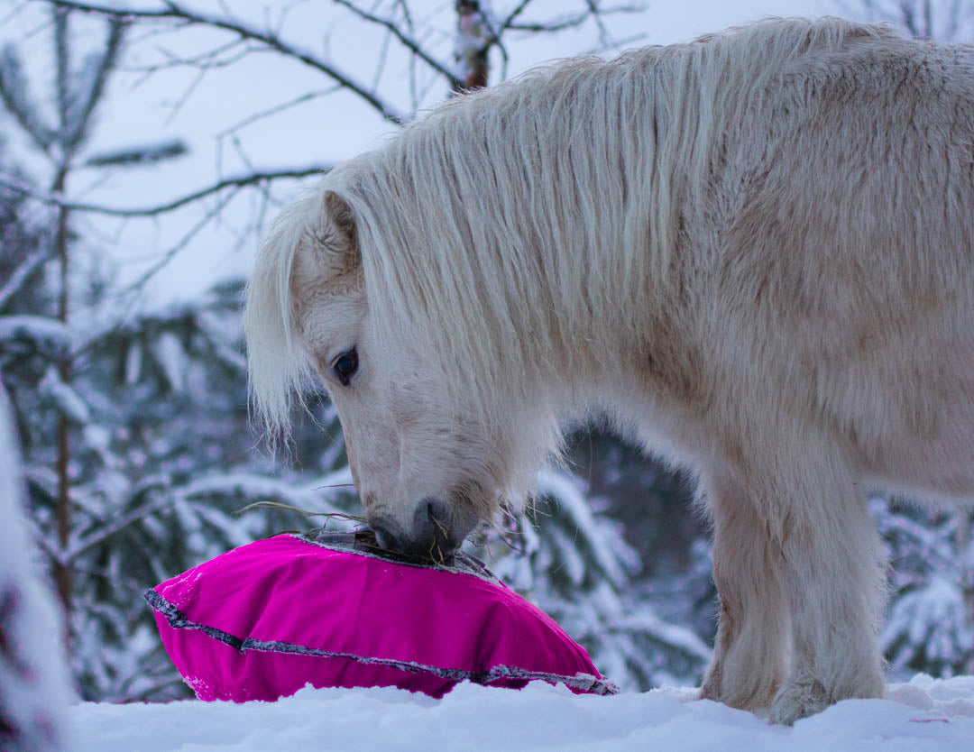 Heica Fluffy Hay Feeder