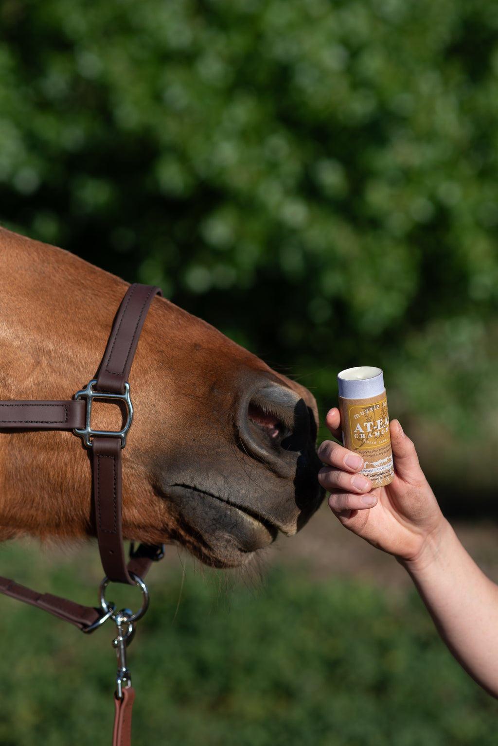 Muzzle Butter: At-Ease Chamomile