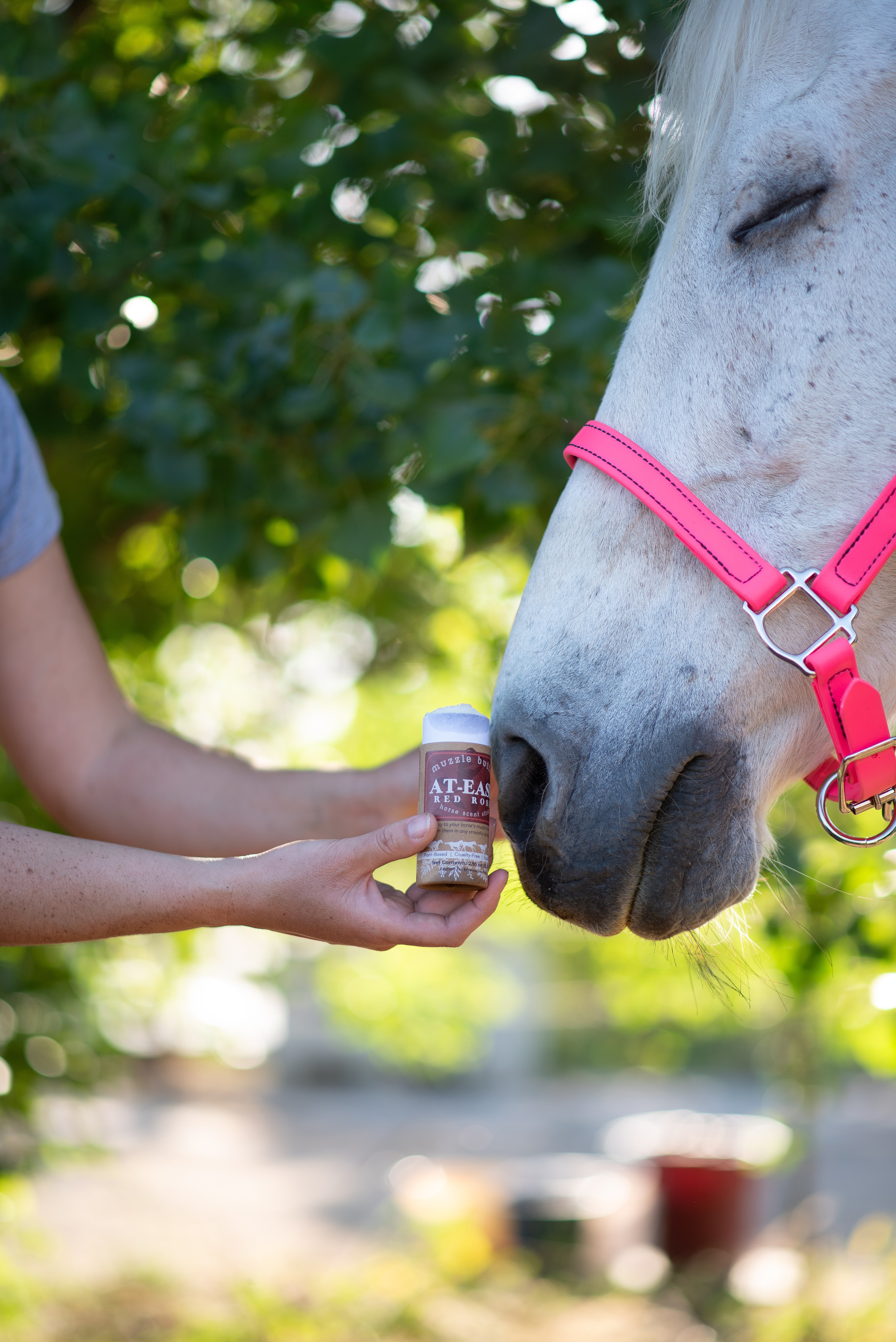 Muzzle Butter: At-Ease Variety Bundle