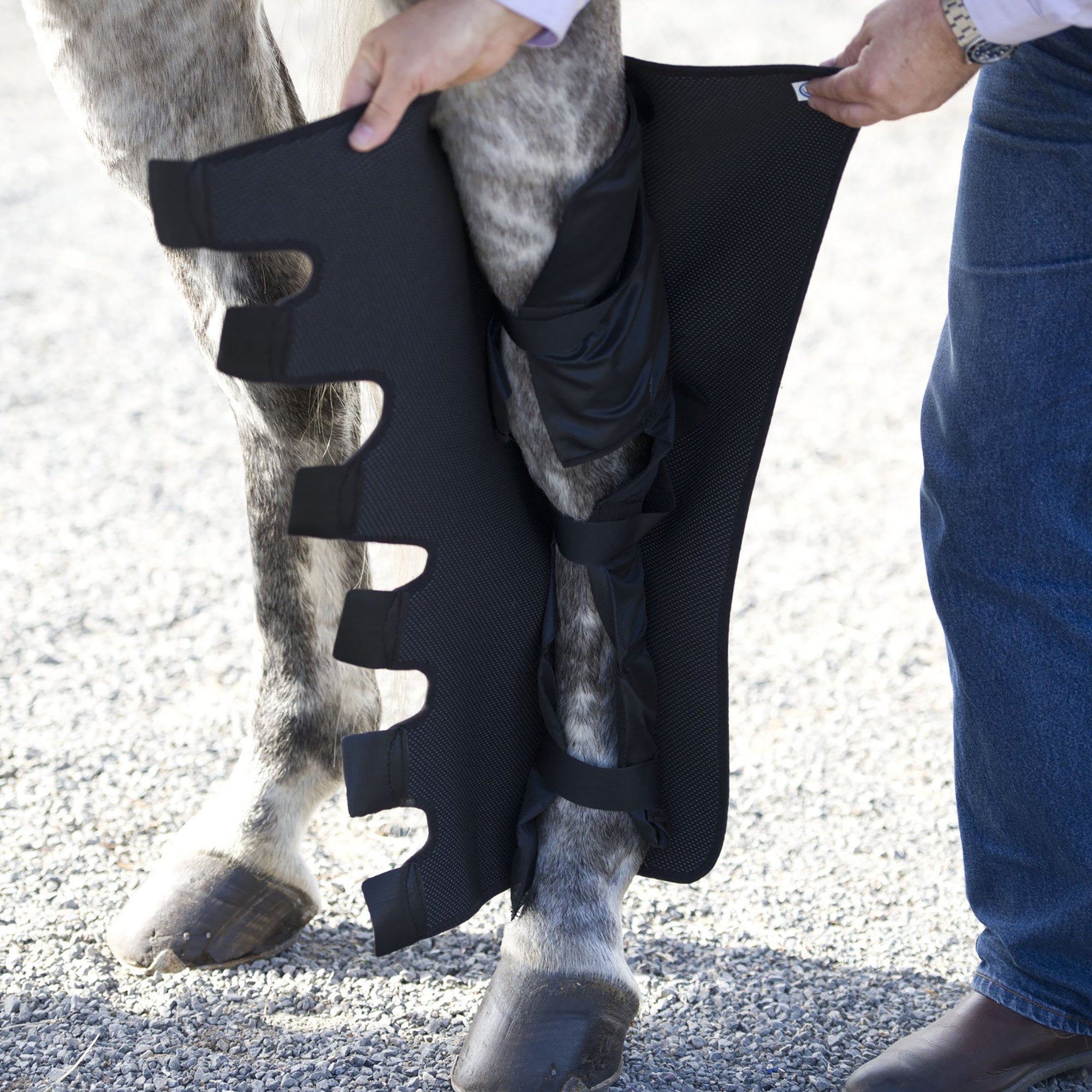 Full Hind Leg Wraps