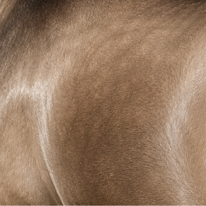 Solstice: a Luxury Summer Coat Spray