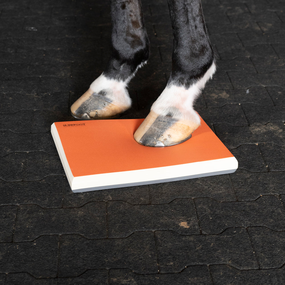 Level 1 - Half Physiopad