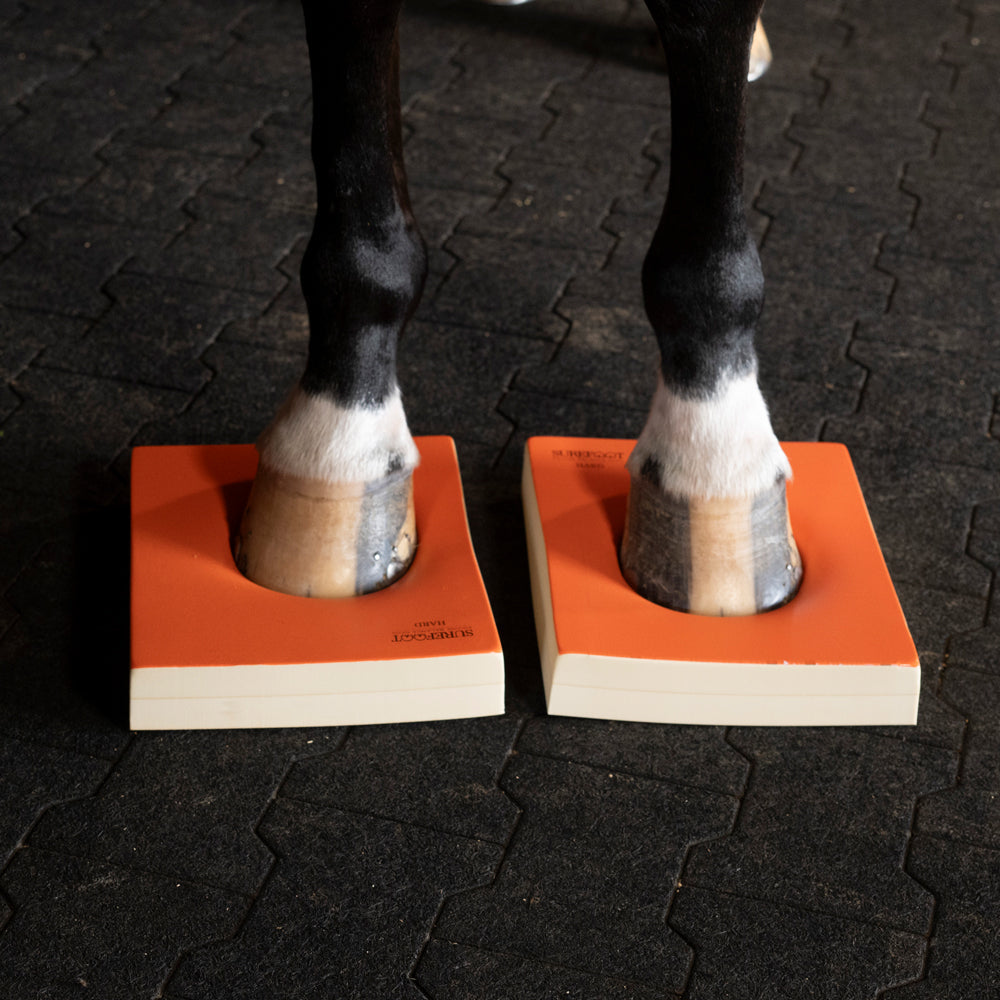 Level 2 - Hard Pads - ON BACKORDER