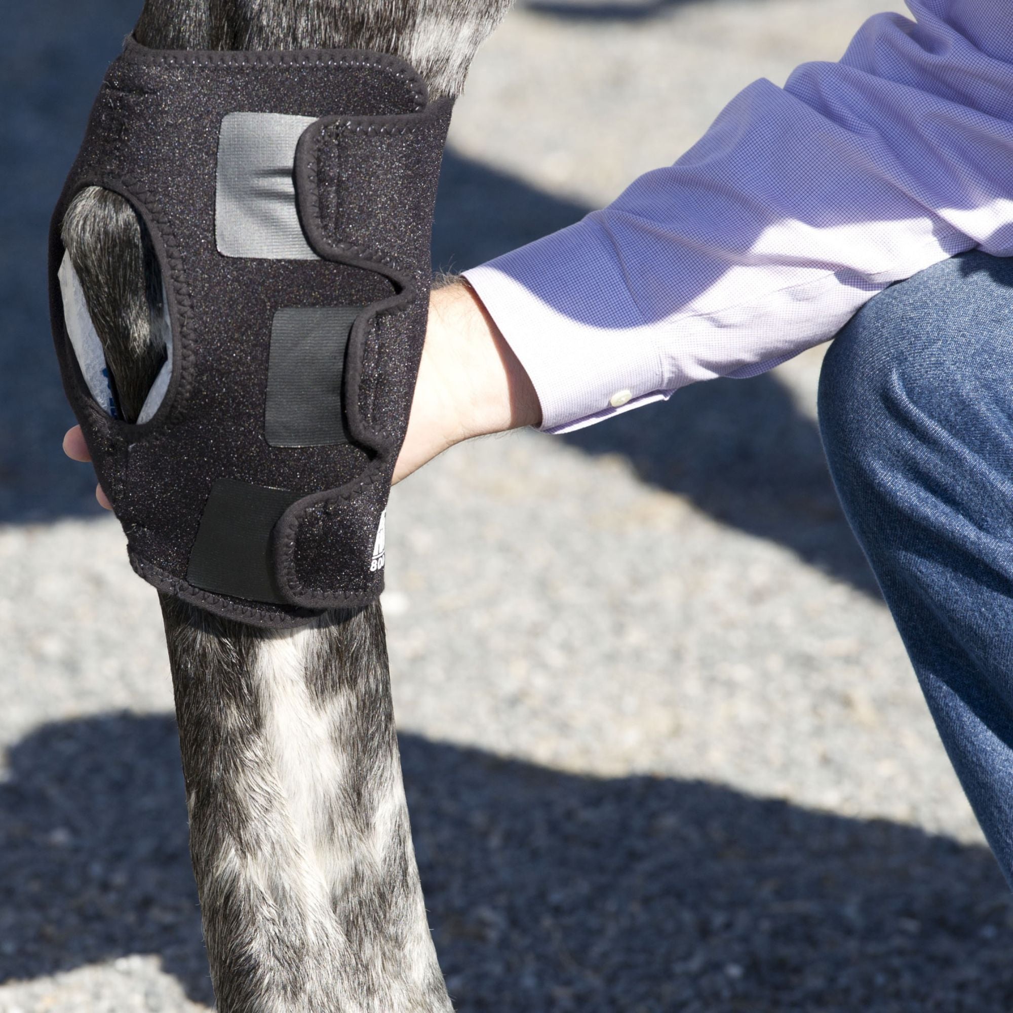 Hock Wraps