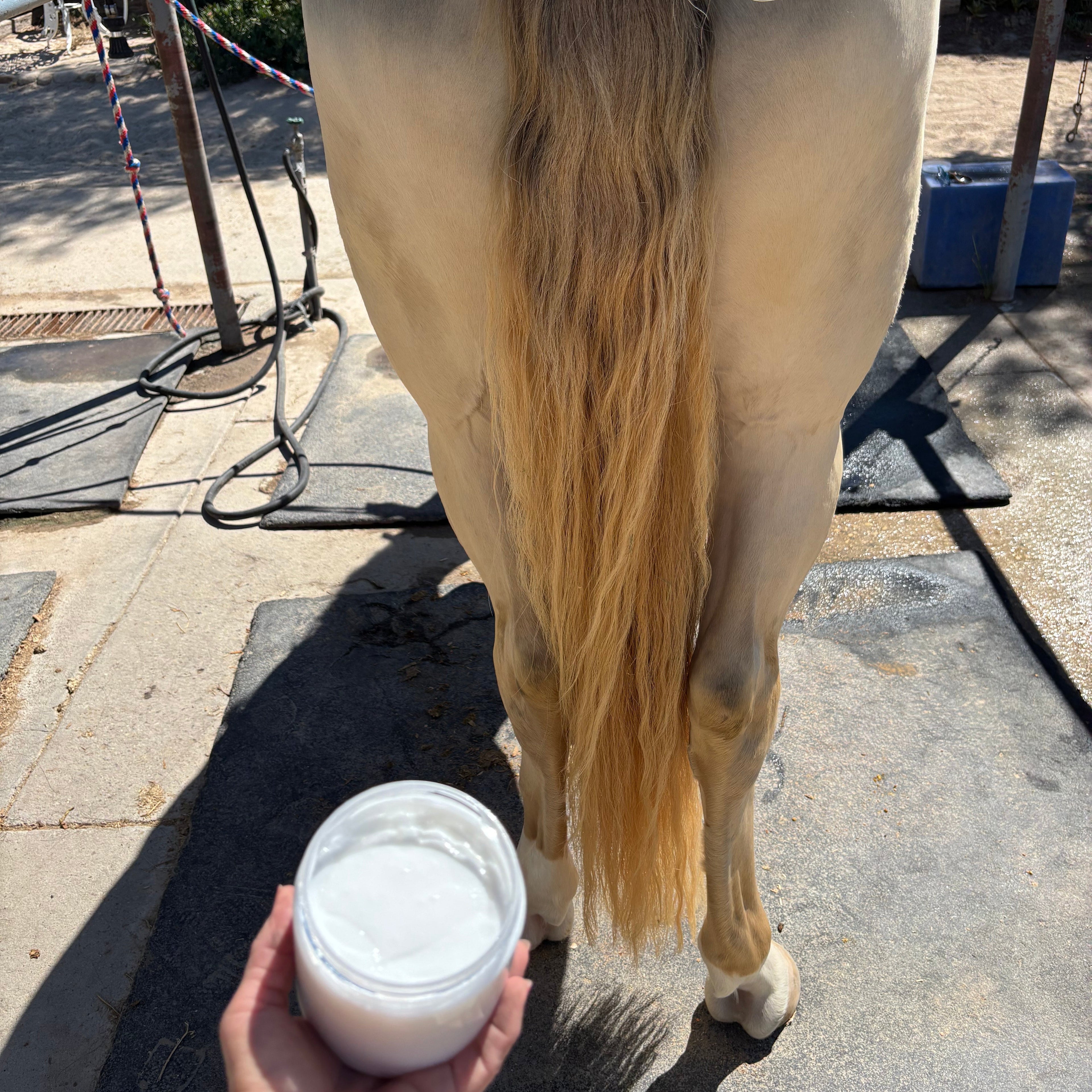 Batana Mane & Tail Deep Conditioner Mask