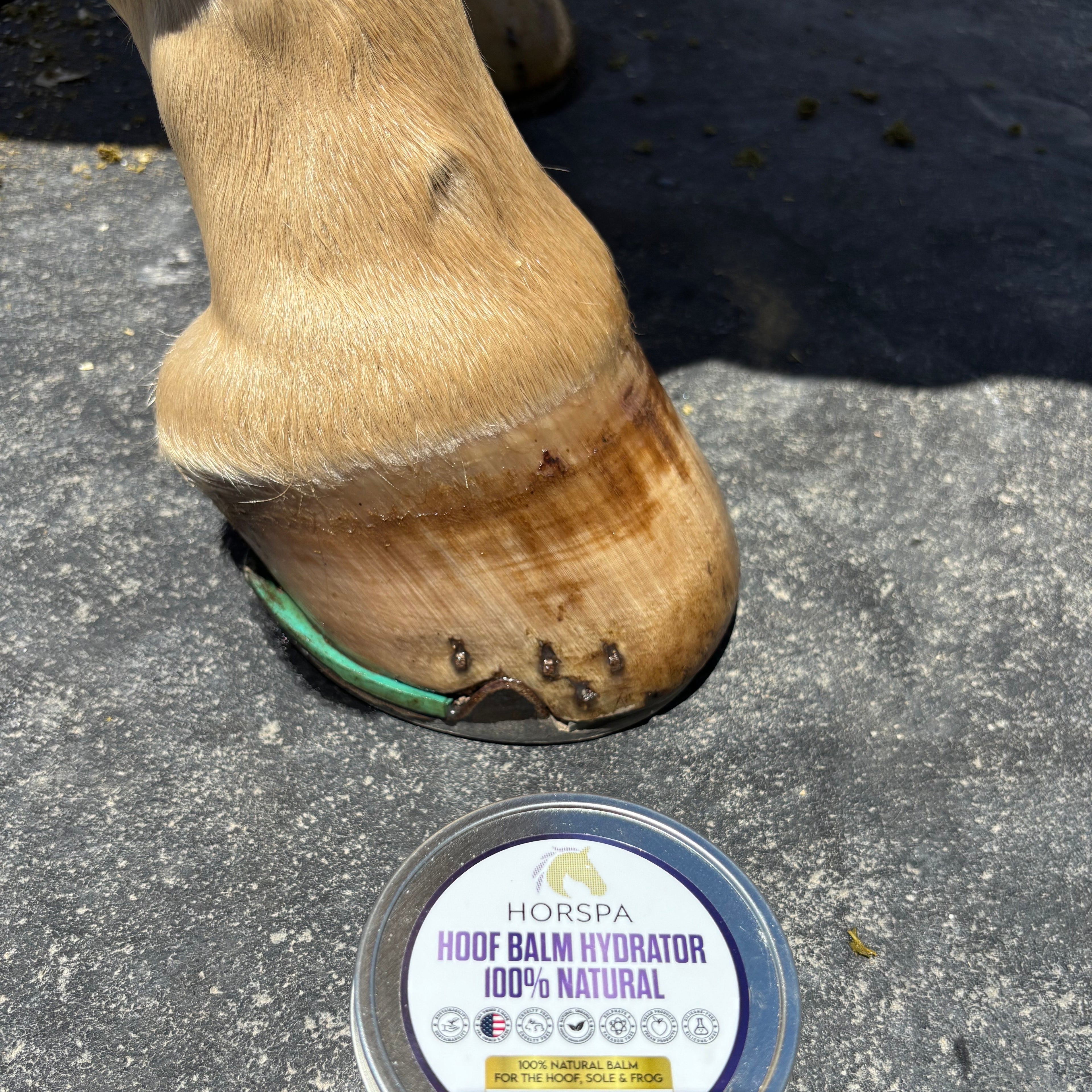Hoof Balm Hydrator