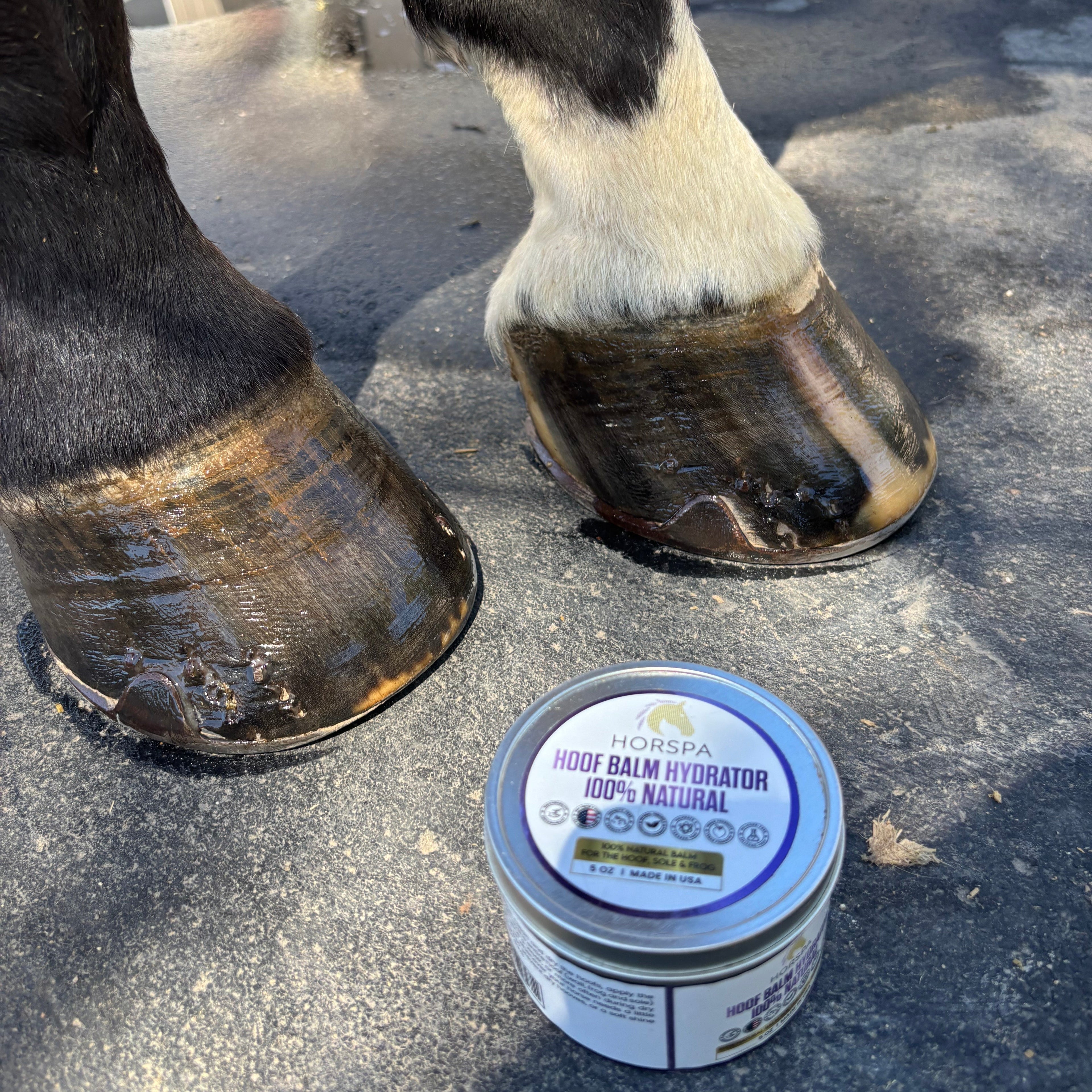 Hoof Balm Hydrator